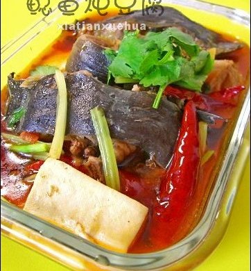 鲶鱼炖豆腐