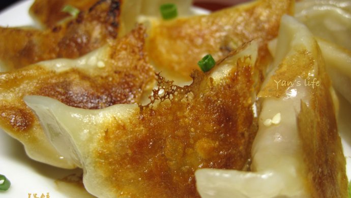 锅饺――利仁电火锅试用菜谱