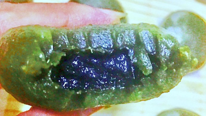 艾草团