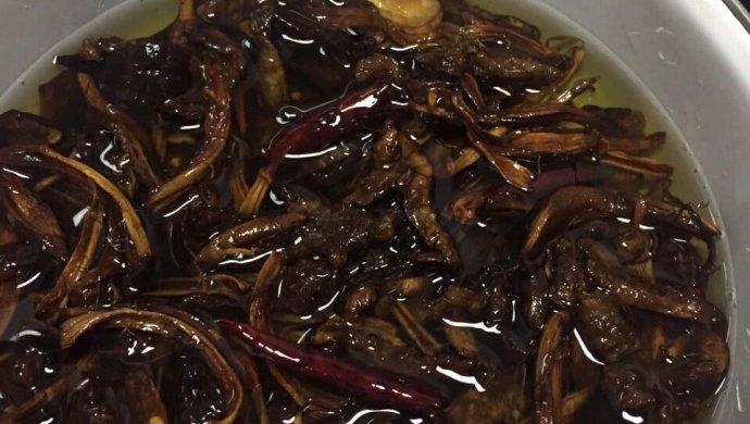油鸡枞