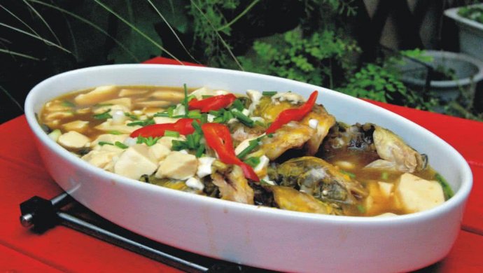 昂刺鱼烧豆腐