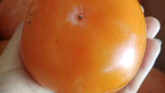 黑暗料理，柿子饼