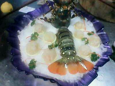 日式料理澳洲花龙