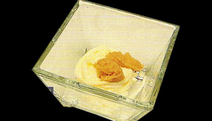 料理狨_小茴香躜?狨