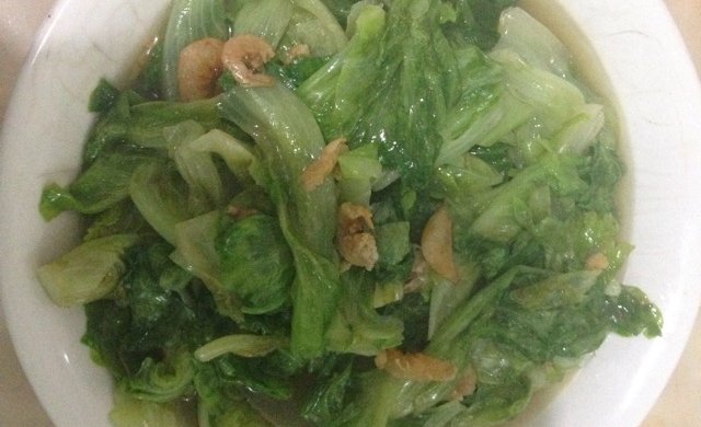 生菜