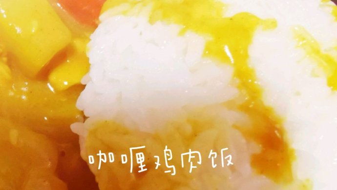 印度美食―咖喱鸡肉饭