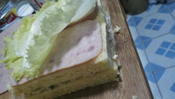 健康饮食金枪鱼三明治