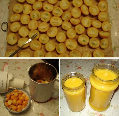 金桔饮