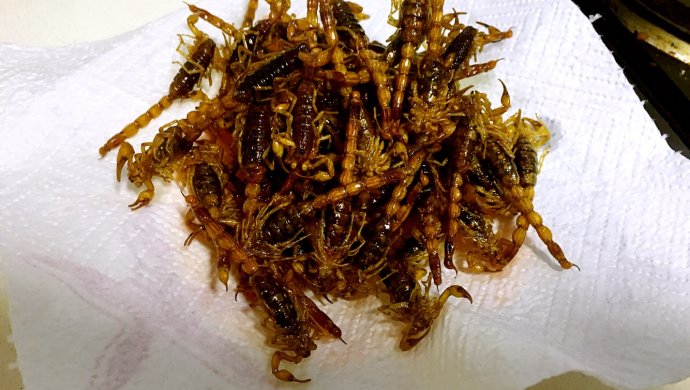 油炸蝎子