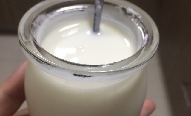 自制蜂蜜酸奶