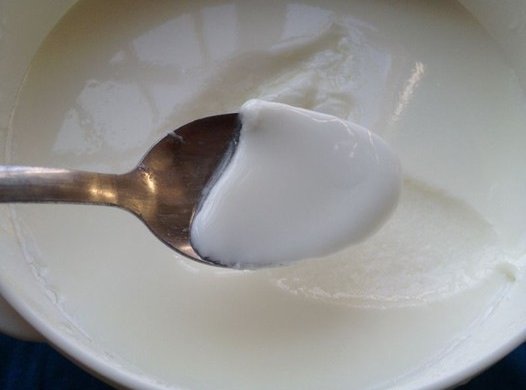 自制蜂蜜酸奶