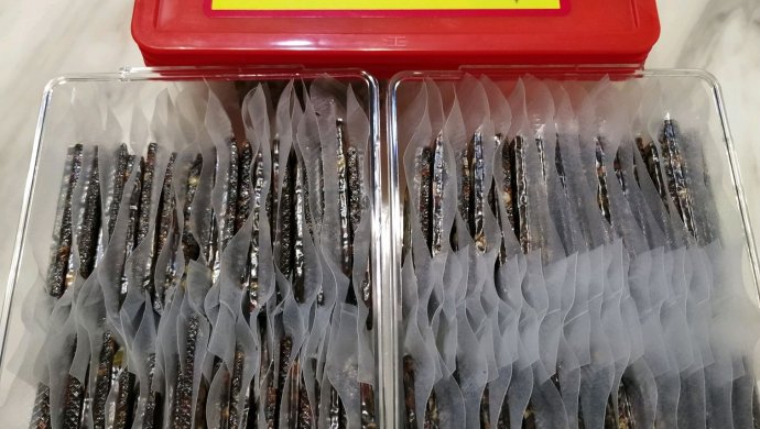 兮兮妈的自制阿胶糕