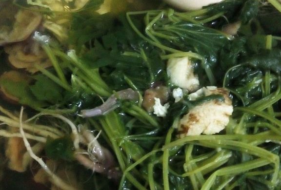 【调经佳饮】红枣当归益母草汤