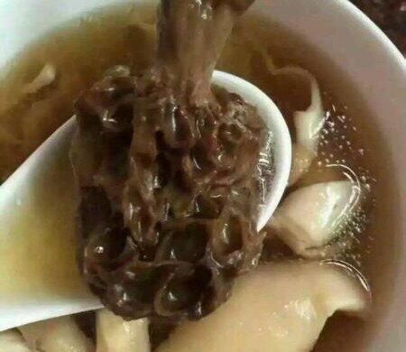 羊肚菌水鸭炖花胶