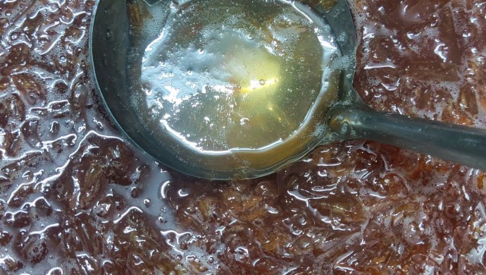 自制蜂蜜柚子茶