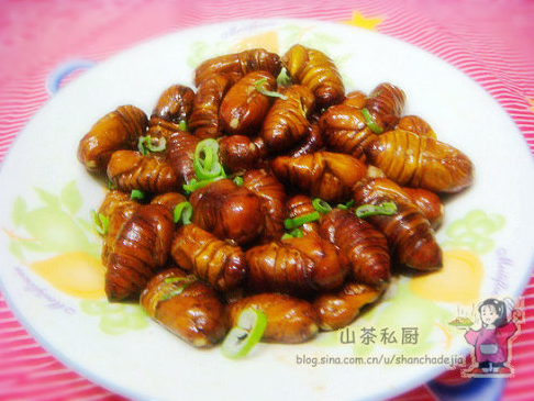 家常炒茧蛹