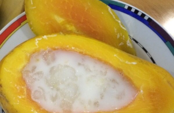 木瓜牛奶炖雪蛤