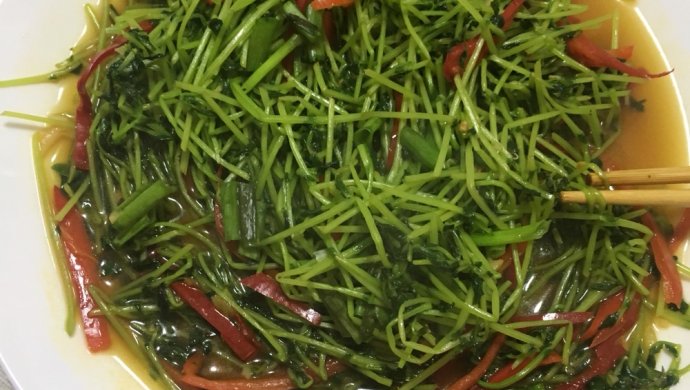 豆苗红椒