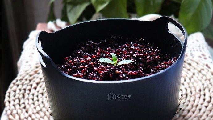 好吃不胖的杂粮饭