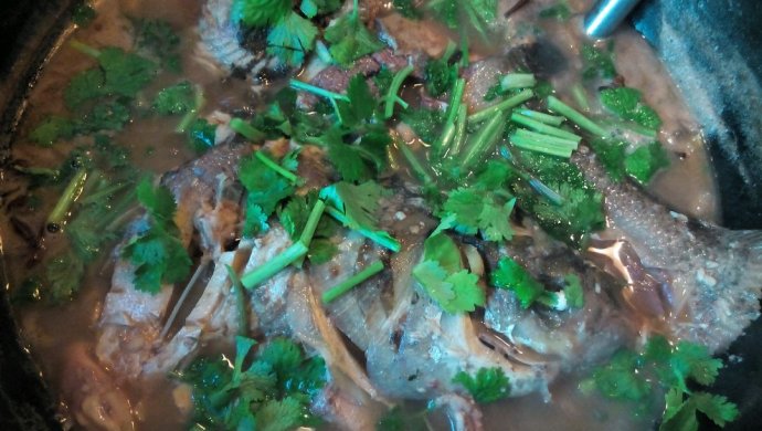 炖鲢鱼（家常）