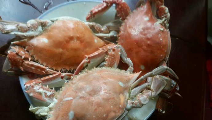 清蒸海蟹