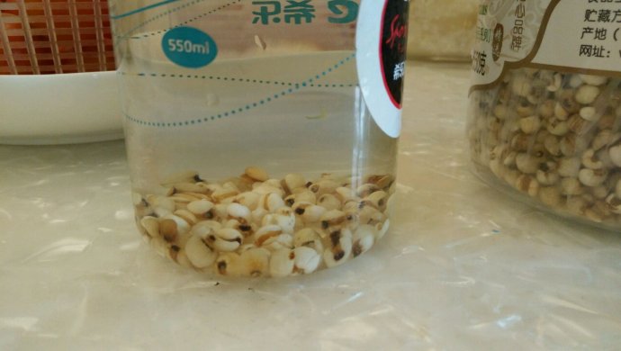薏米茶