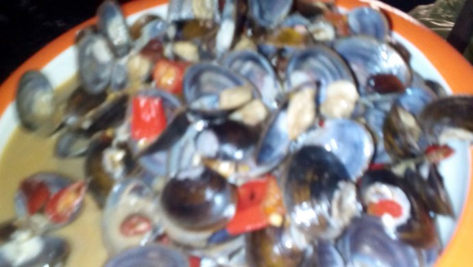 小河蚌