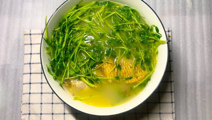 鲤鱼豆苗