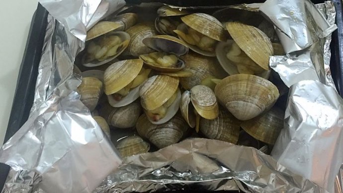 锡纸黄蚬子