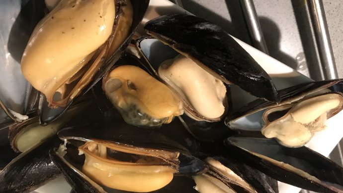 白灼青口