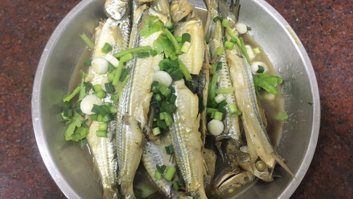 闷针鱼