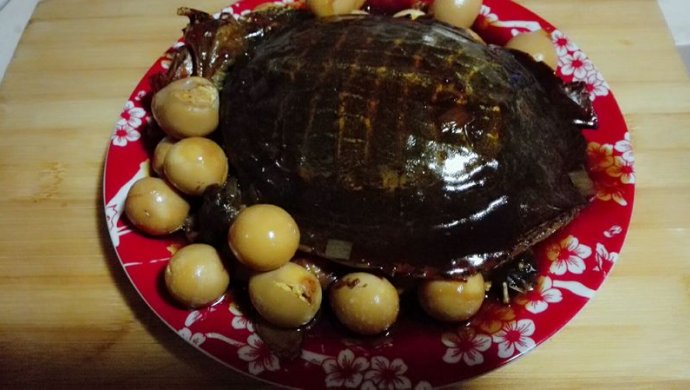 甲鱼（内有乾坤）