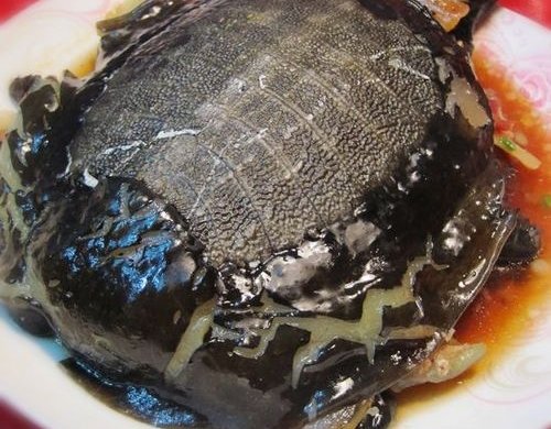 豉汁甲鱼