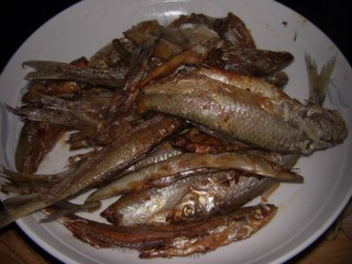 香煎小鱼