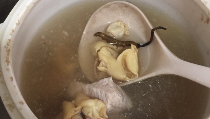 虫草花胶炖瘦肉