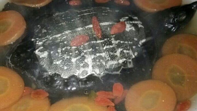 清蒸甲鱼