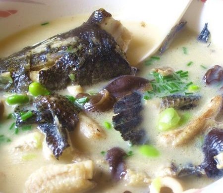 黑鱼汤