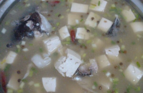 胖头鱼炖豆腐