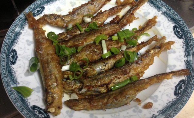 多春鱼