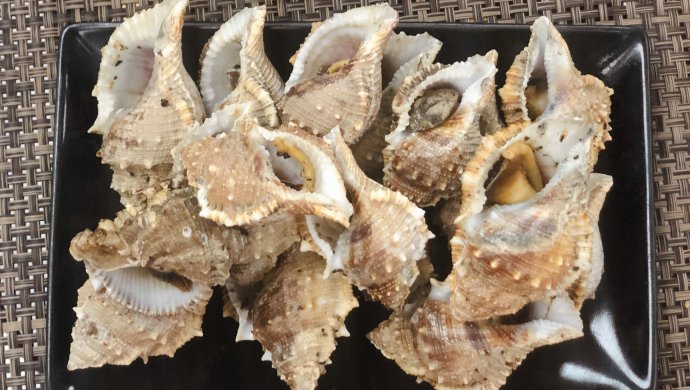 盐?海螺