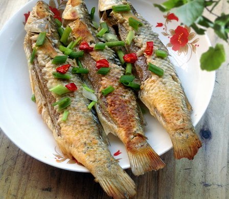 家常菜:香煎乌头鱼