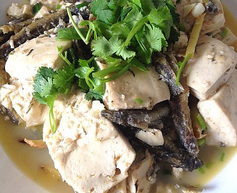 干炸泥鳅闷嫩豆腐――真心鲜吃了忘不了。