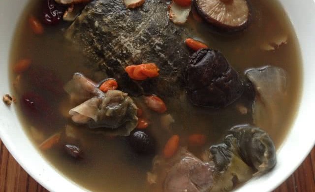 药膳甲鱼