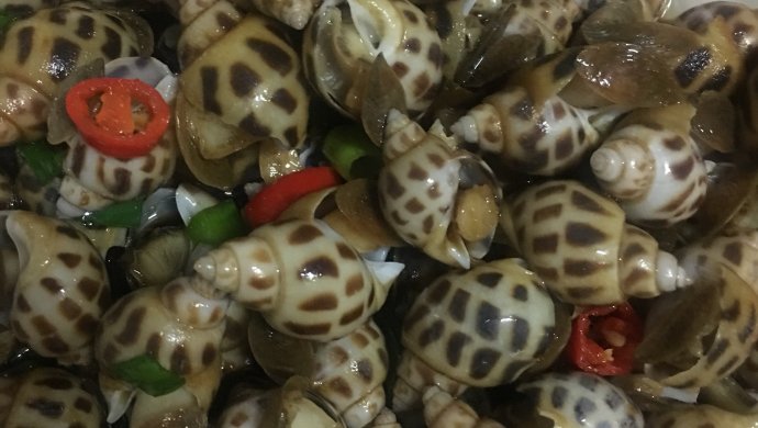 白酌花螺