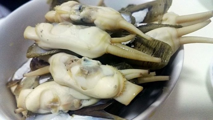电饭锅白灼蛏子