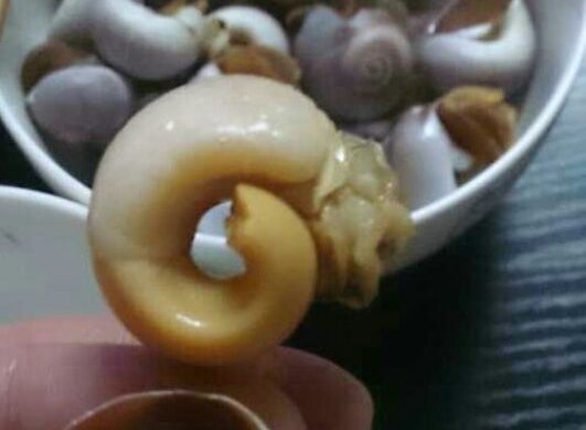 白灼香螺