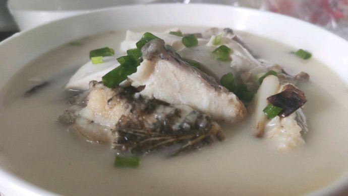 黑鱼豆腐汤