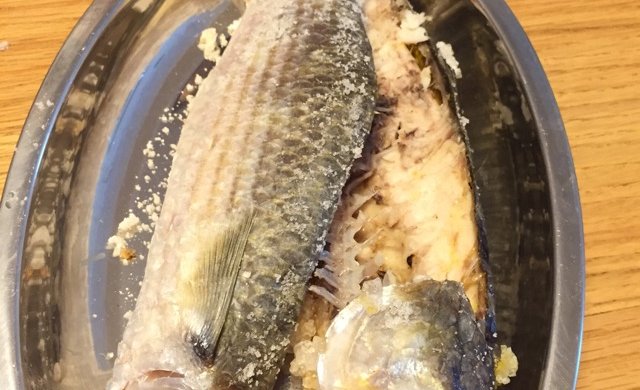 盐?乌头鱼