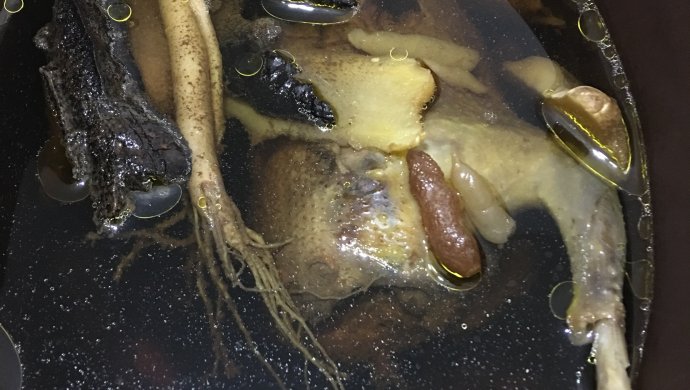 野生灵芝炖老鸽