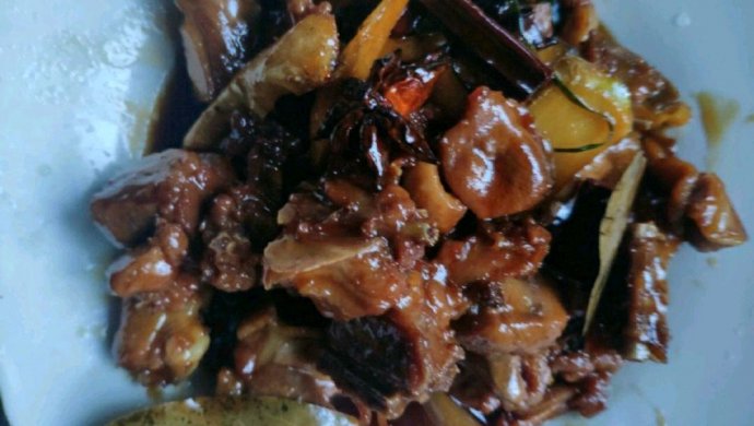 红烧鸭肉